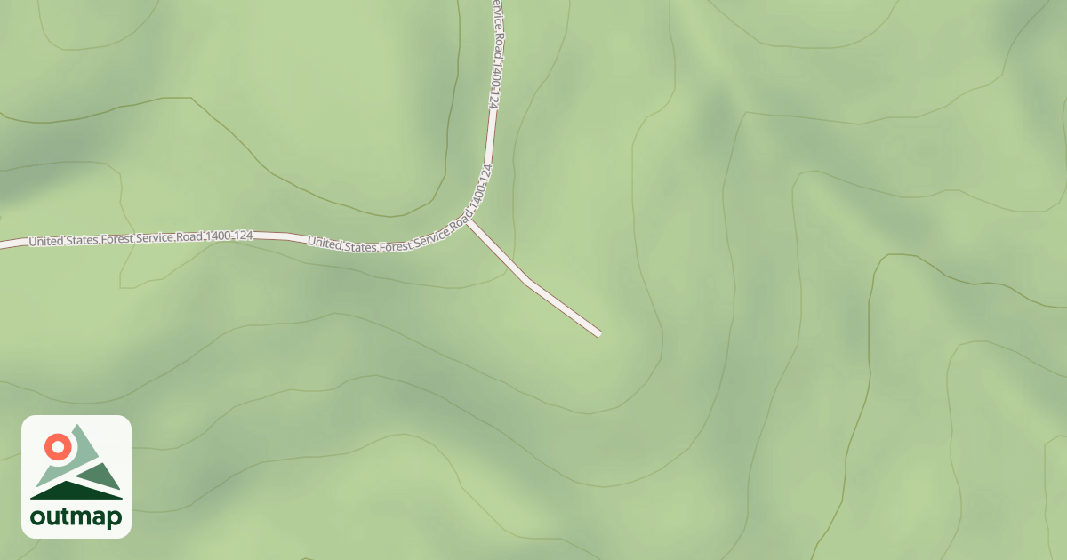 Map of USFS National Forest System Roads {1B6ED006-05FD-4155-8B06-BED85CB1B626}