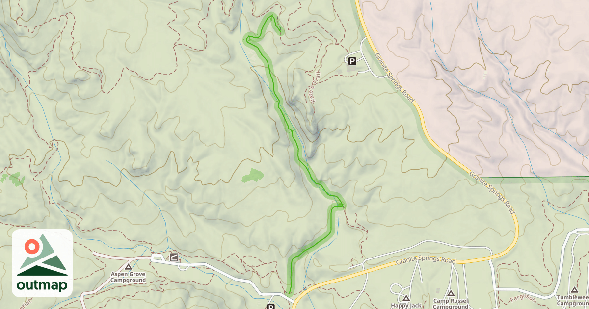 Map of Finn's Forest