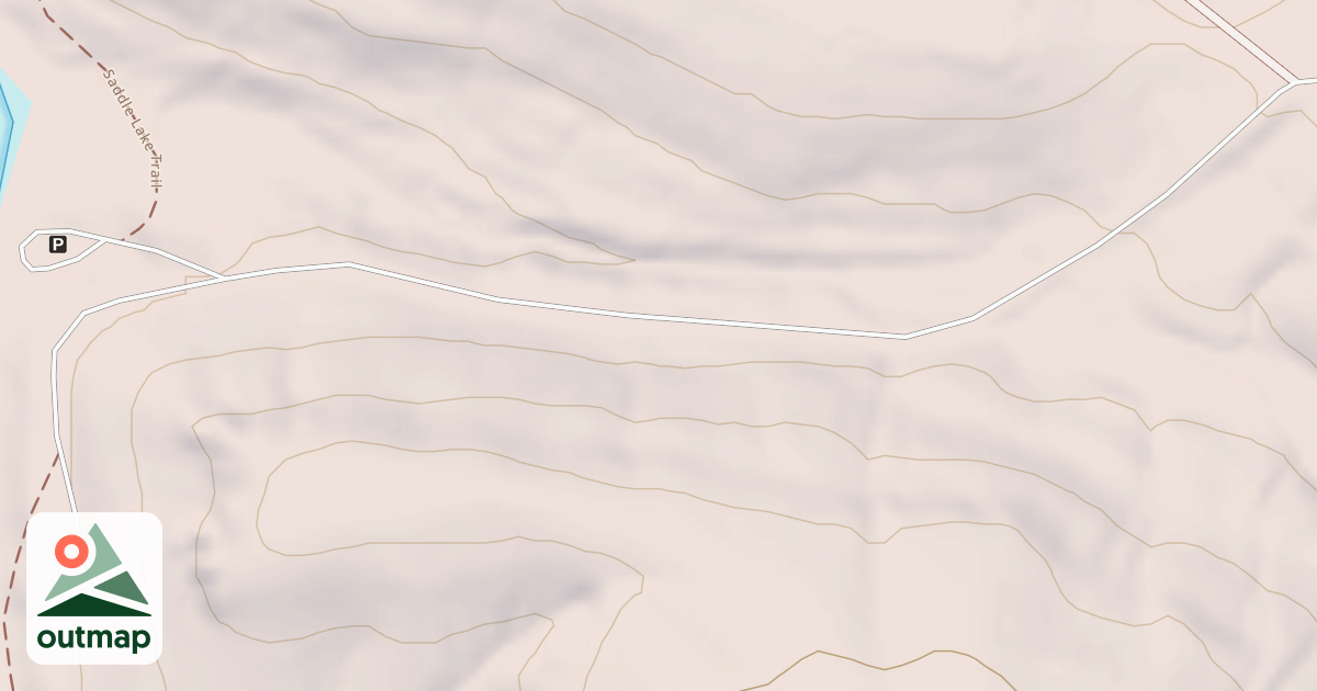 Map of SADDLE LAKE