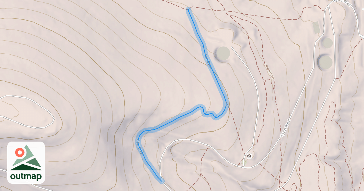 Map of Cat/Dog