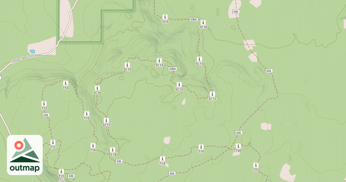 Map of USFS National Forest System Roads {C5CEC867-06A5-4E5B-9A23-BF9C97C04A9A}