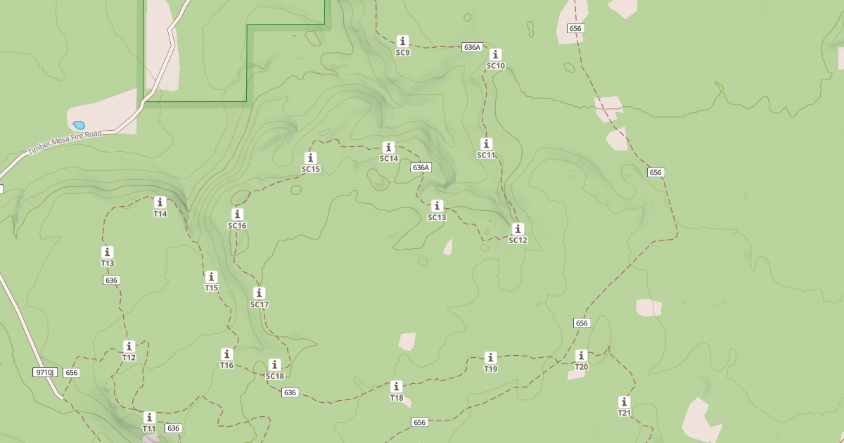 Map preview of USFS National Forest System Roads {C5CEC867-06A5-4E5B-9A23-BF9C97C04A9A}