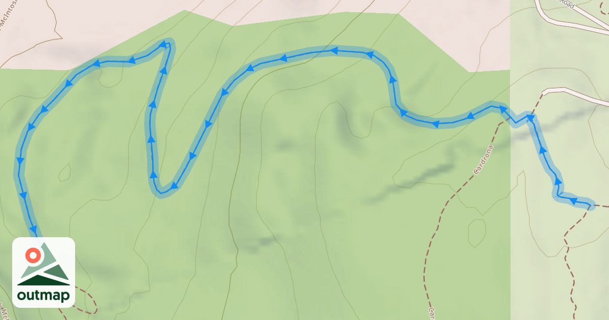 Map of Man Boobs