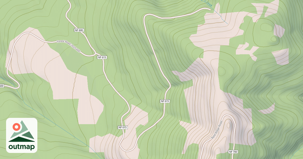 Map of BALD CAMP T.S.