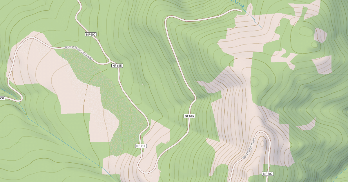 Map preview of BALD CAMP T.S.