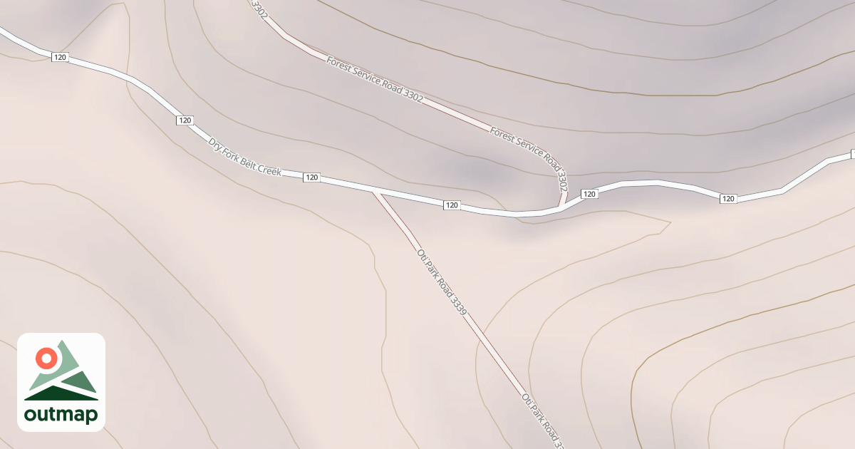 Map of DISPERSED 3339-069