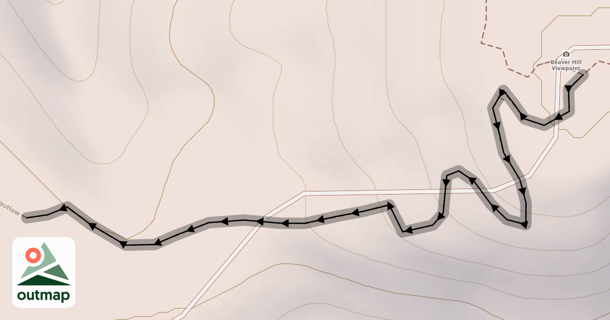 Map of Blind Tiger