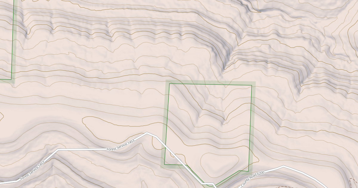 Map preview of USFS National Forest System Roads {53BA9122-AA5C-4A7E-99F4-0D04A7AB6A7C}