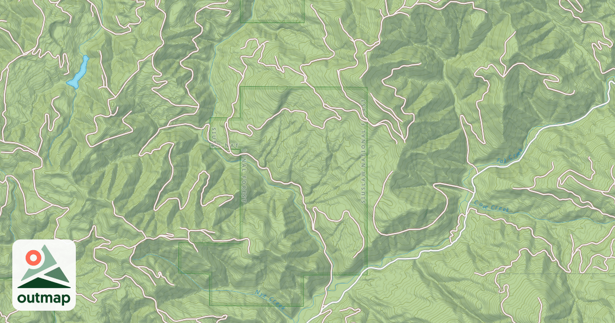 Map of USFS National Forest System Roads {E250696E-D944-4D68-B43F-71D280814EA4}