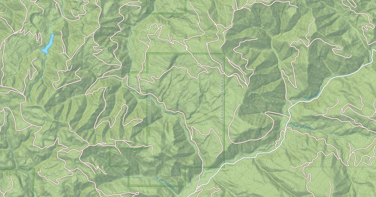 Map preview of USFS National Forest System Roads {E250696E-D944-4D68-B43F-71D280814EA4}