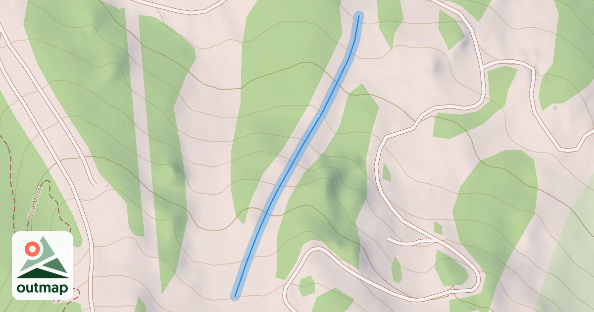 Map of Cougar