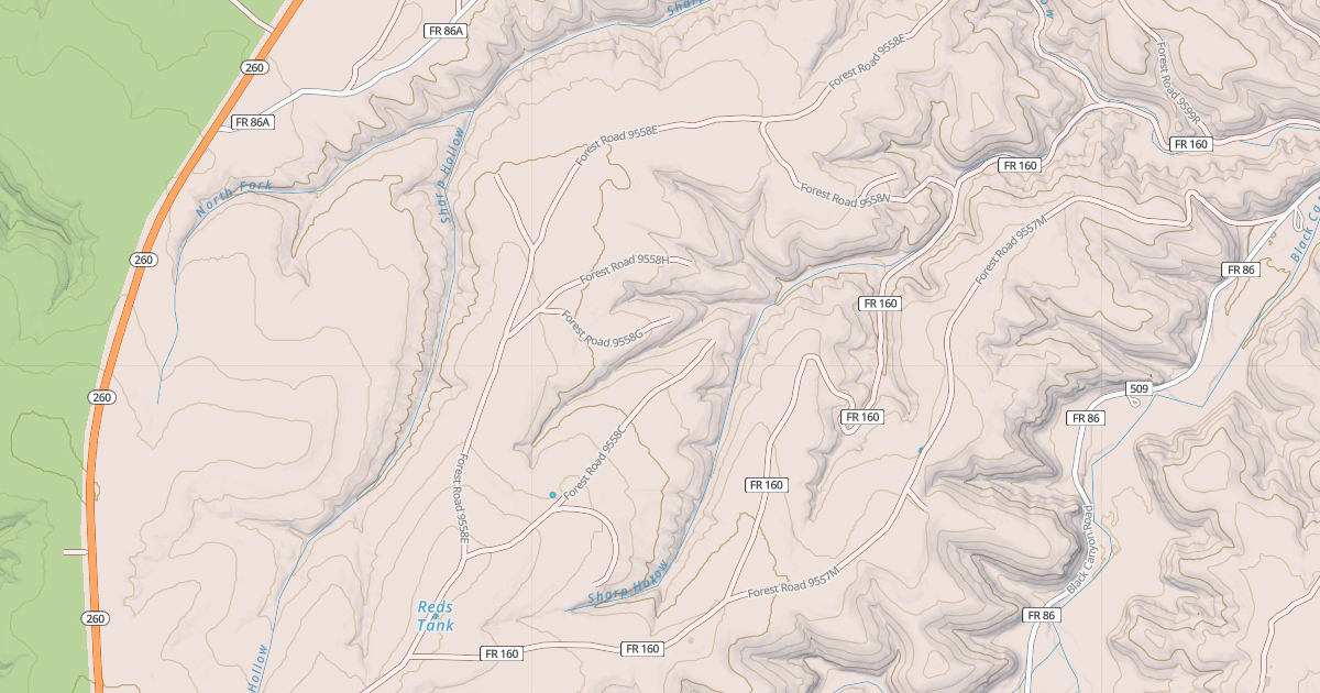 Map preview of USFS National Forest System Roads {65A81F39-6A3F-4A1A-BF82-50AD18E7141F}