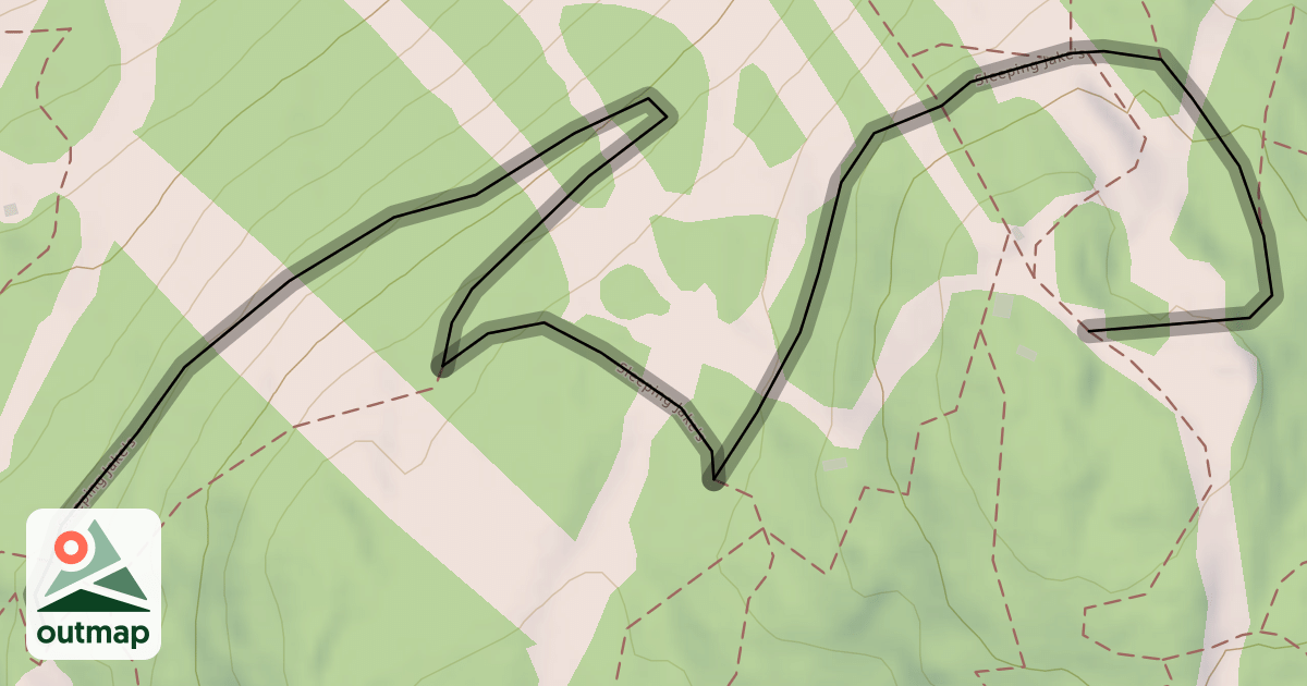 Map of Sleeping Jake's