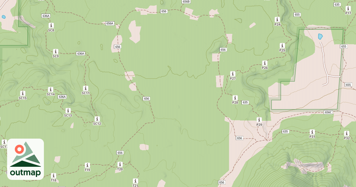 Map of USFS National Forest System Roads {971F0425-328B-4DFE-981D-4E2C84E39CFC}