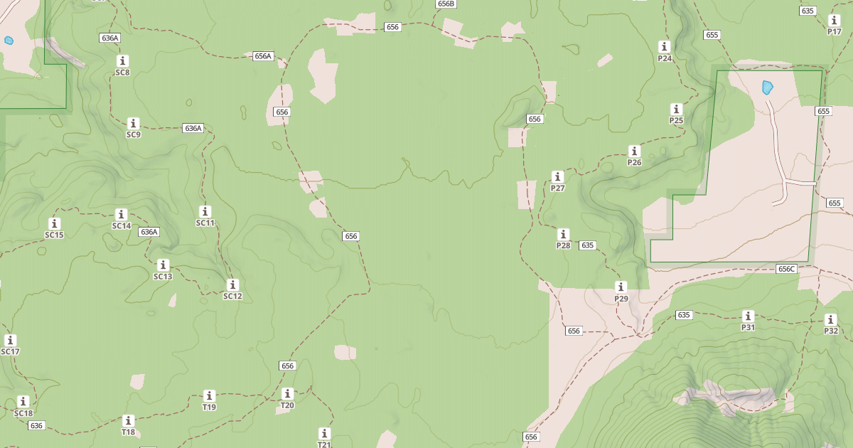 Map preview of USFS National Forest System Roads {971F0425-328B-4DFE-981D-4E2C84E39CFC}