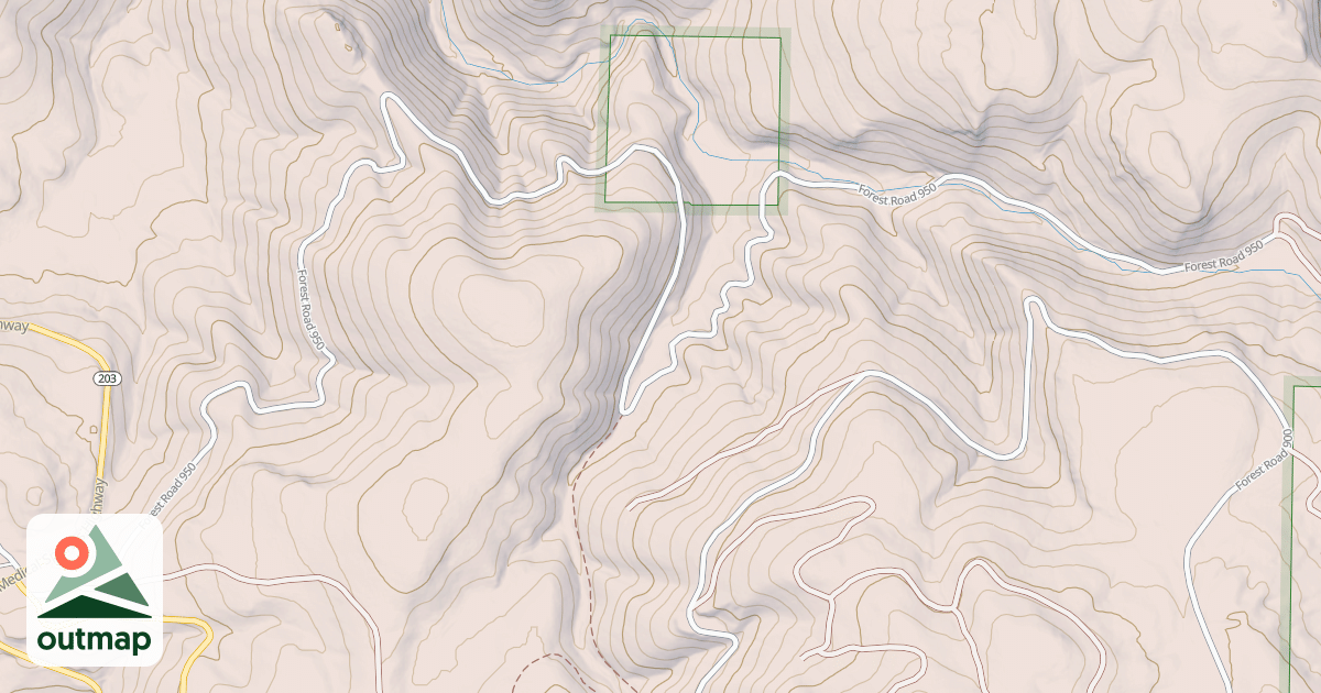 Map of USFS National Forest System Roads {646AB3F1-FE0C-4FD6-8D73-6FAB88268005}