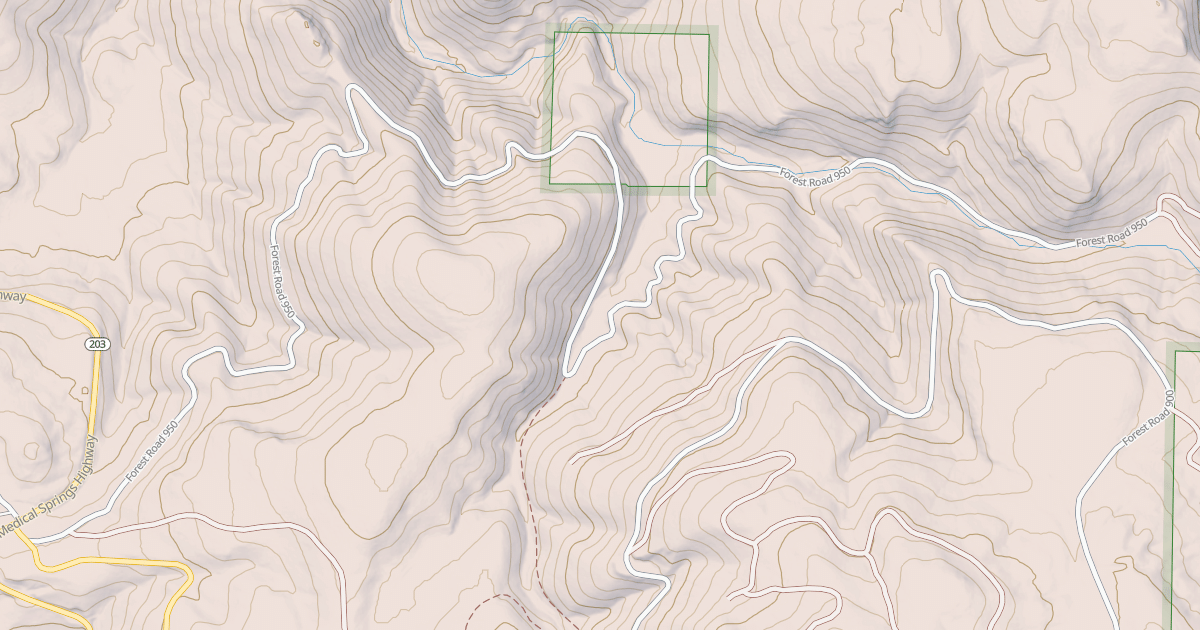 Map preview of USFS National Forest System Roads {646AB3F1-FE0C-4FD6-8D73-6FAB88268005}
