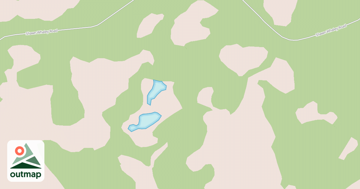 Map of USFS National Forest System Roads {E1991CB1-8C79-495A-8596-CF735223DA19}