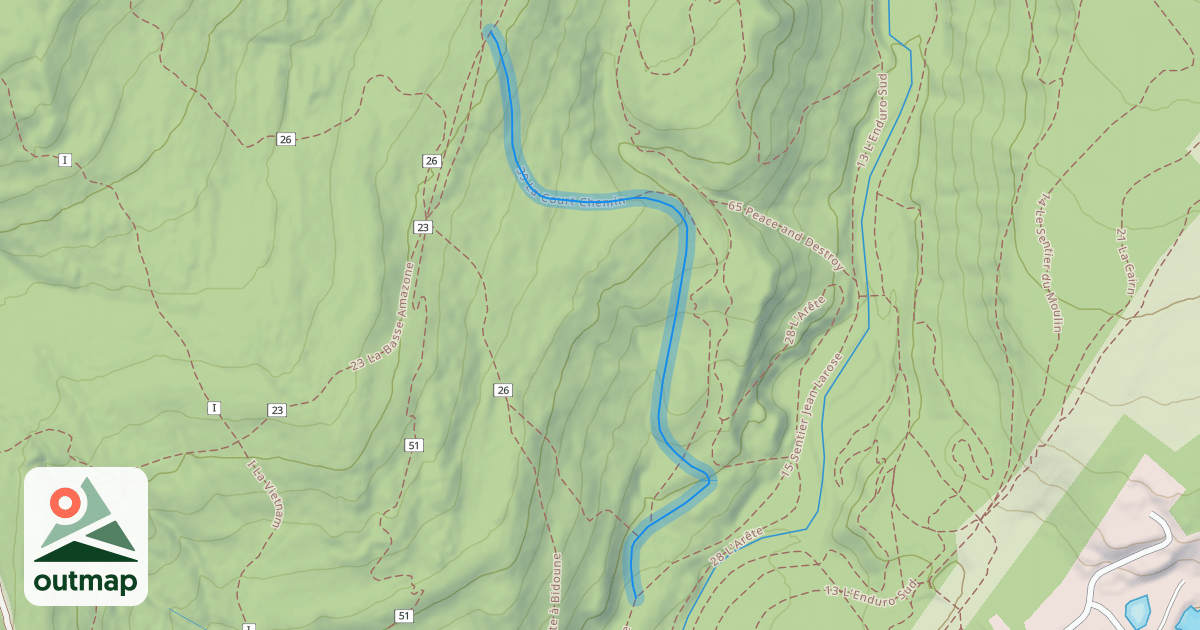 Map of 39 La Court Chemin