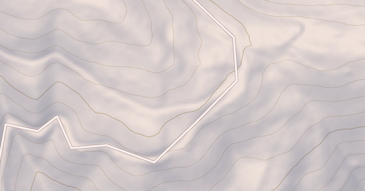Map preview of PINE SWAMP