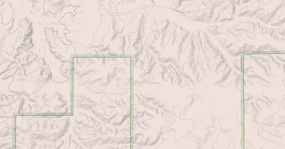 Map preview of USFS National Forest System Roads {CBA81057-0482-4540-BDCB-008848EA0B4D}