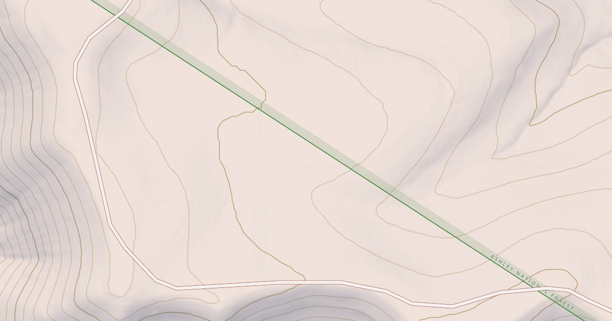Map preview of BLM National GTLF Public Motorized Roads 2e9dcc32-d3f1-4a54-868d-a1b7602527df