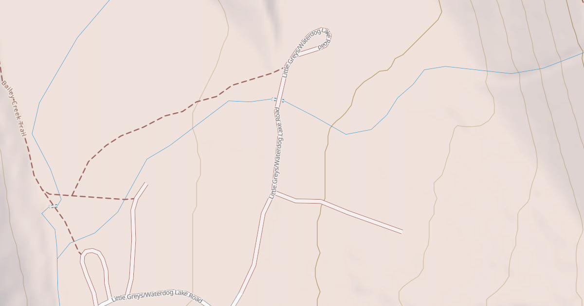 Map preview of LITTLE GREYS/WATERDOG LAKE