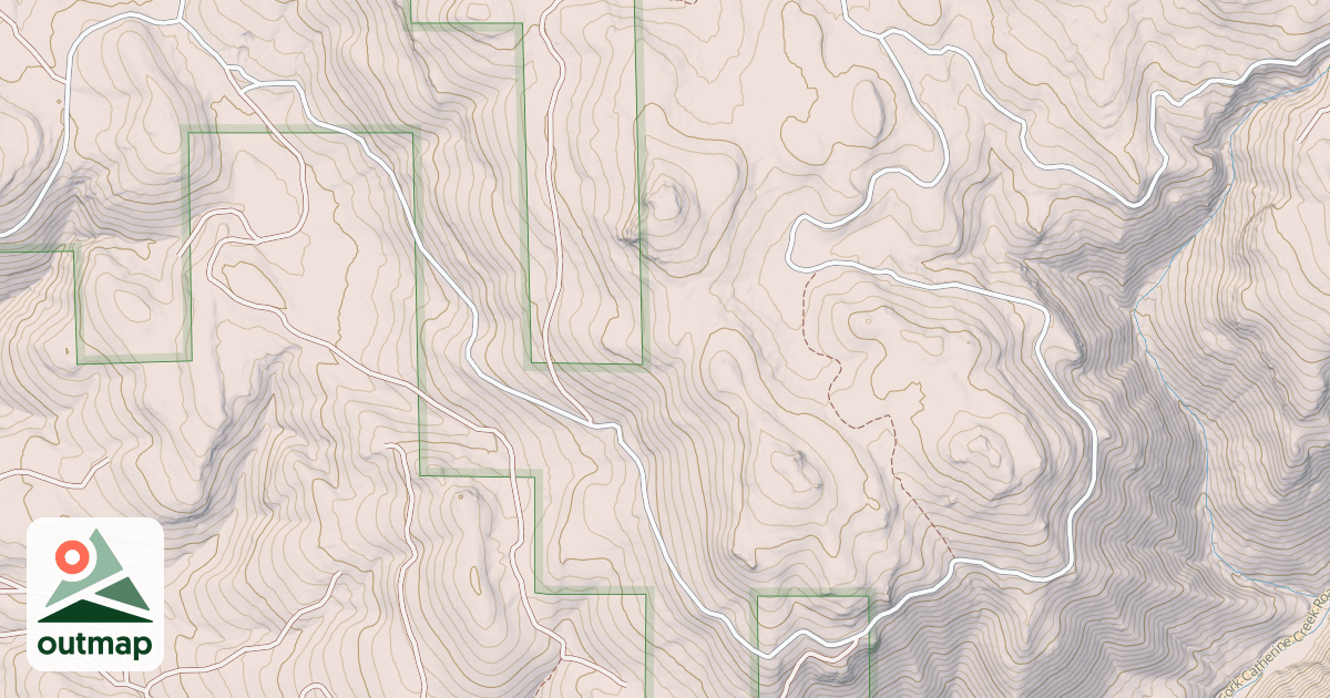 Map of USFS National Forest System Roads {886FC6EC-A381-44A8-BE90-0A8F77EA7E60}