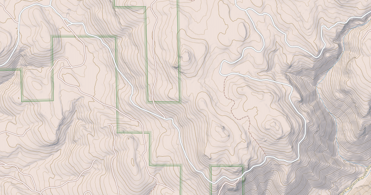 Map preview of USFS National Forest System Roads {886FC6EC-A381-44A8-BE90-0A8F77EA7E60}