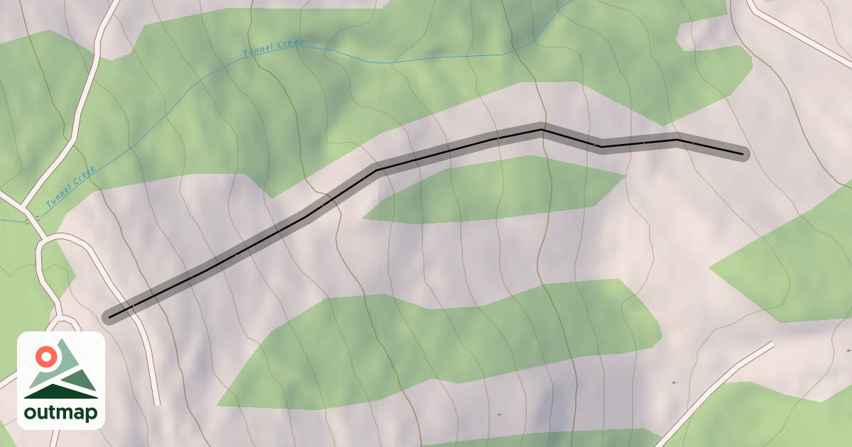 Map of Silver Nugget