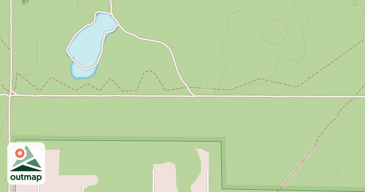 Map of USFS National Forest System Roads {F1B0FE87-FD7C-41CD-8186-734E66700BFE}