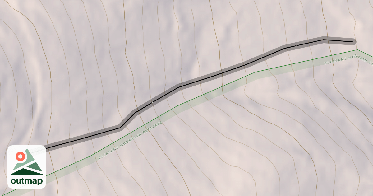Map of The Gut