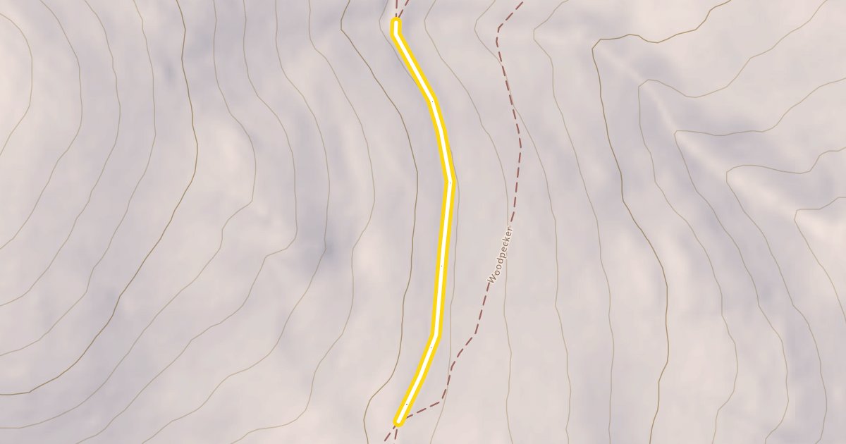 Map preview of Meadow Lark