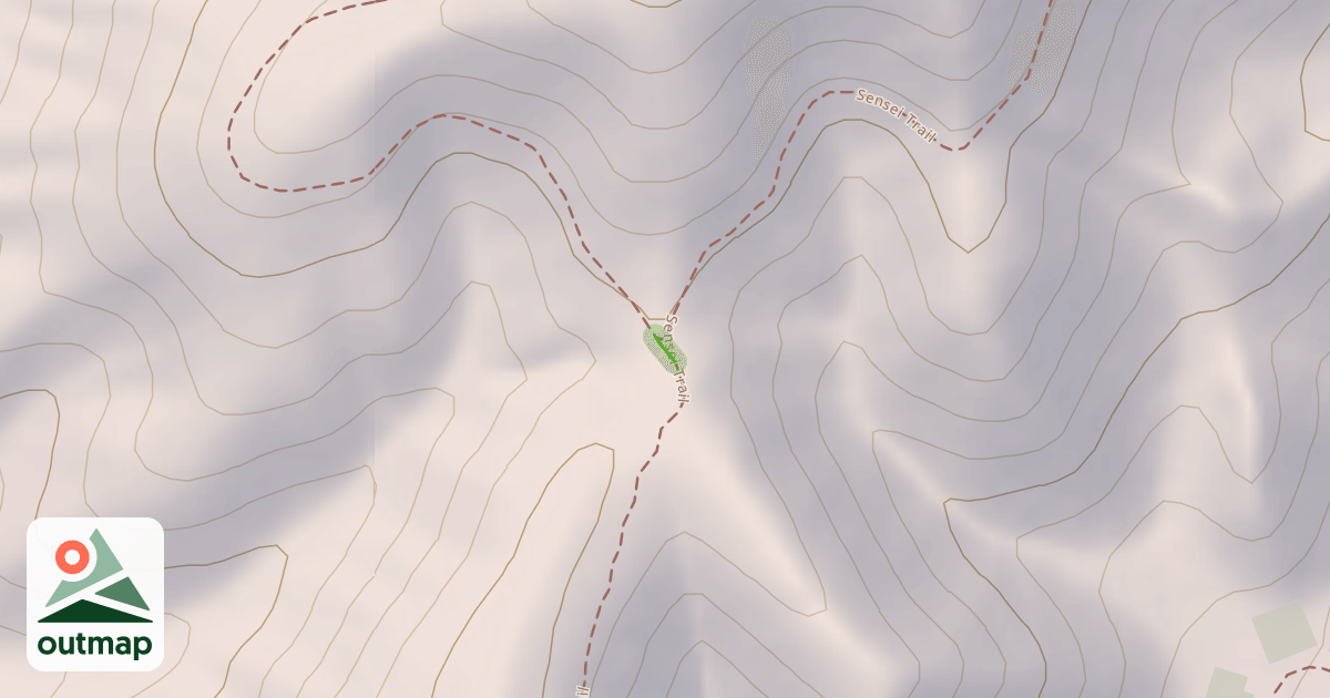 Map of Mo-mentum