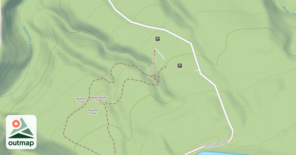 Map of Fong Ridge Road/Trail