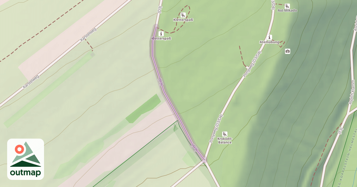 Map of (D3)