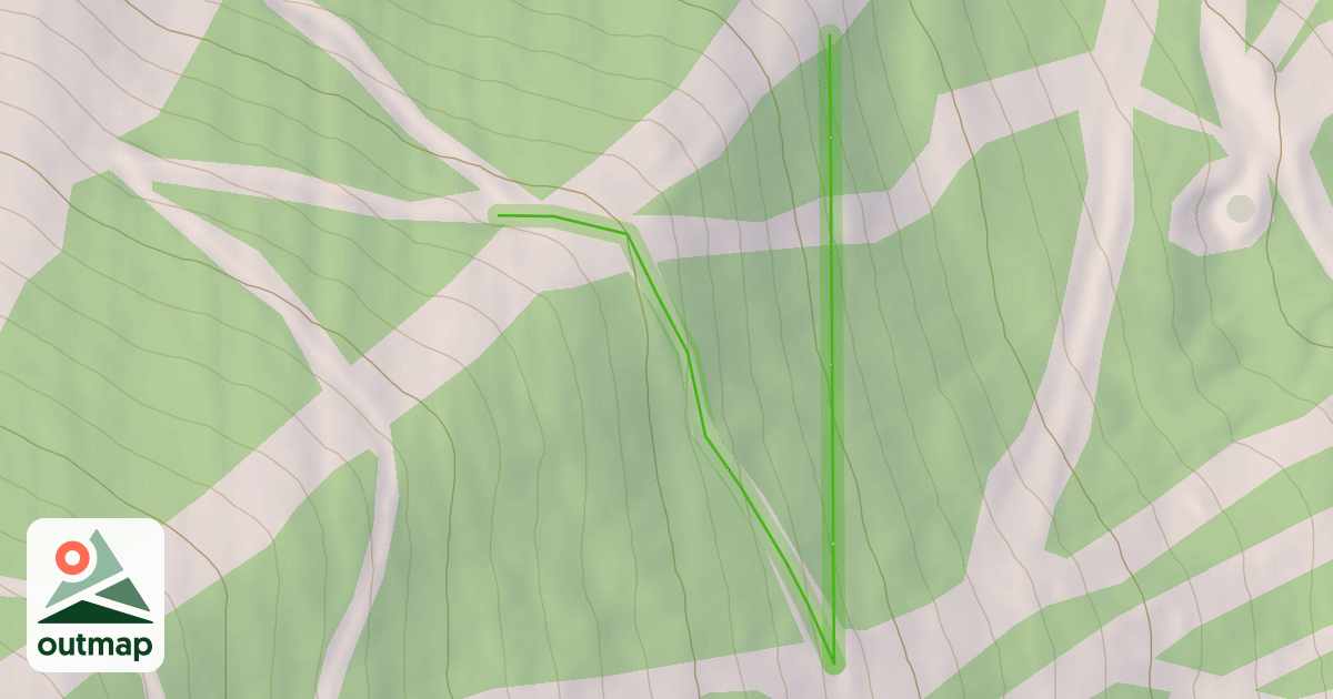 Map of Chicken Alley