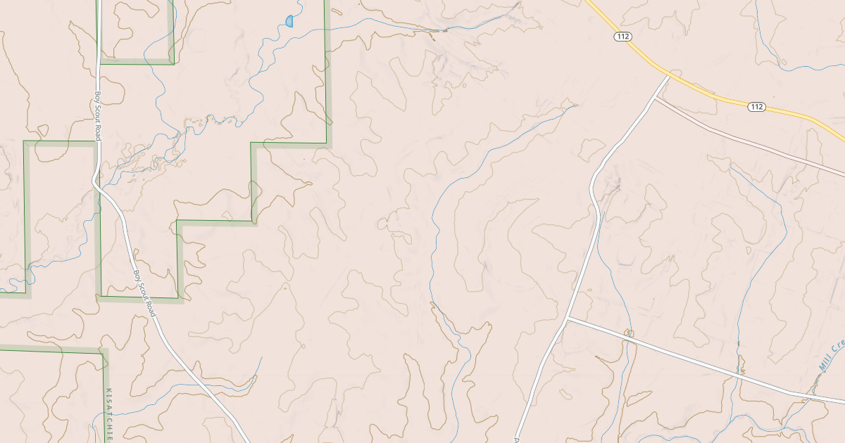 Map preview of BURTON