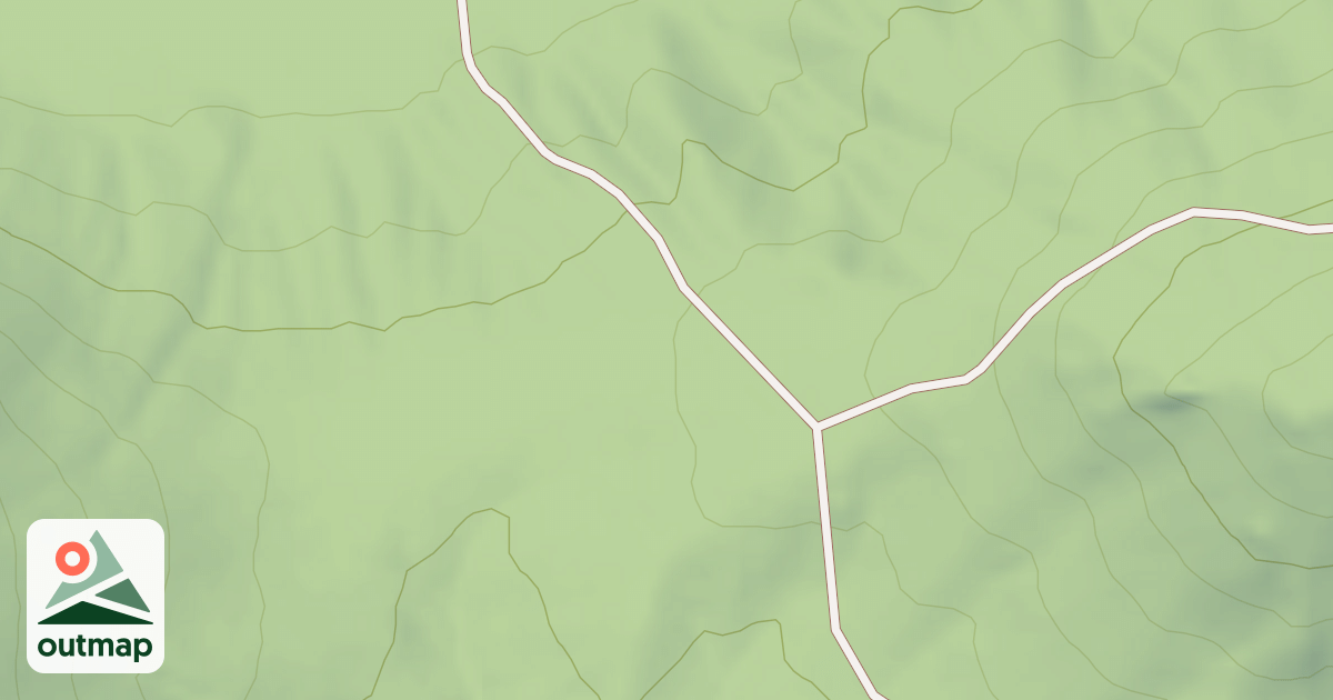Map of USFS National Forest System Roads {2C743F58-7A73-4CF1-9738-AAD715A41808}