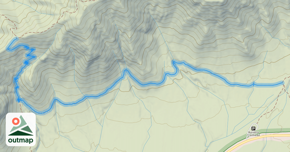 Map of Bursera Canyon