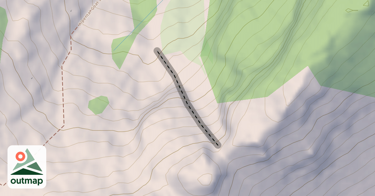 Map of Chicken Shot