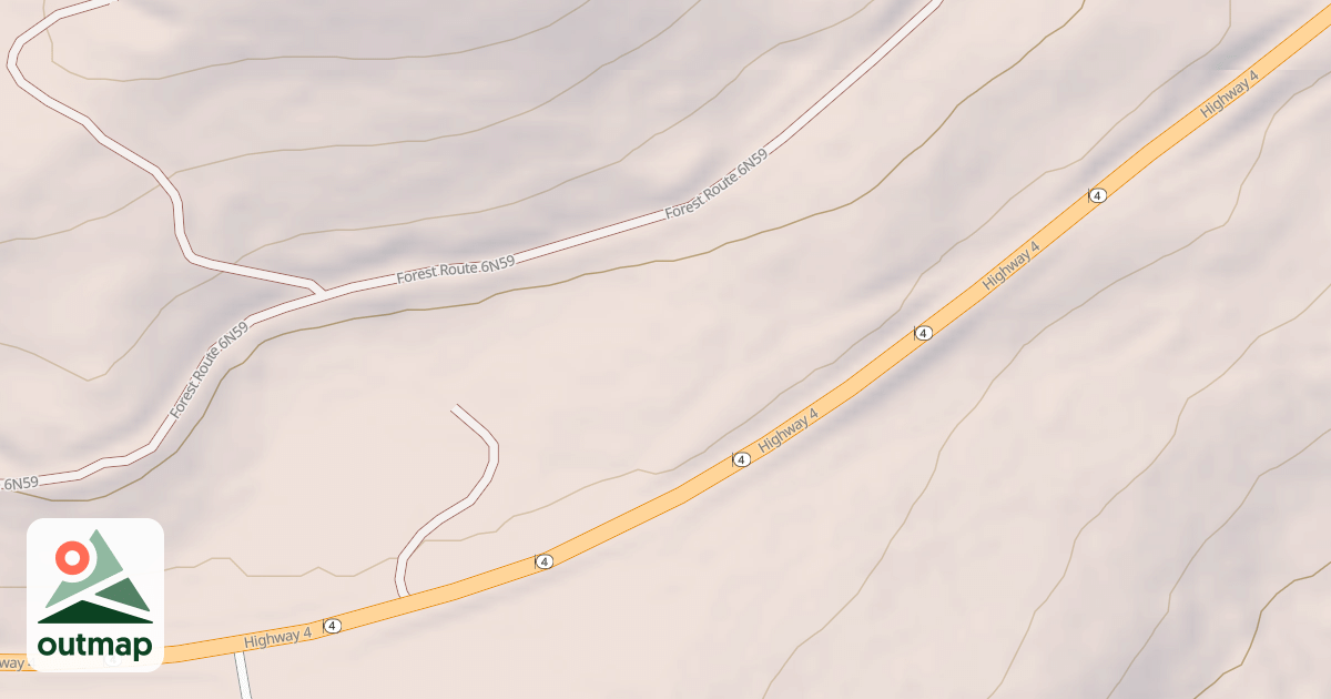 Map of USFS National Forest System Roads {2A82C055-475B-49BF-B928-CC33681DB071}