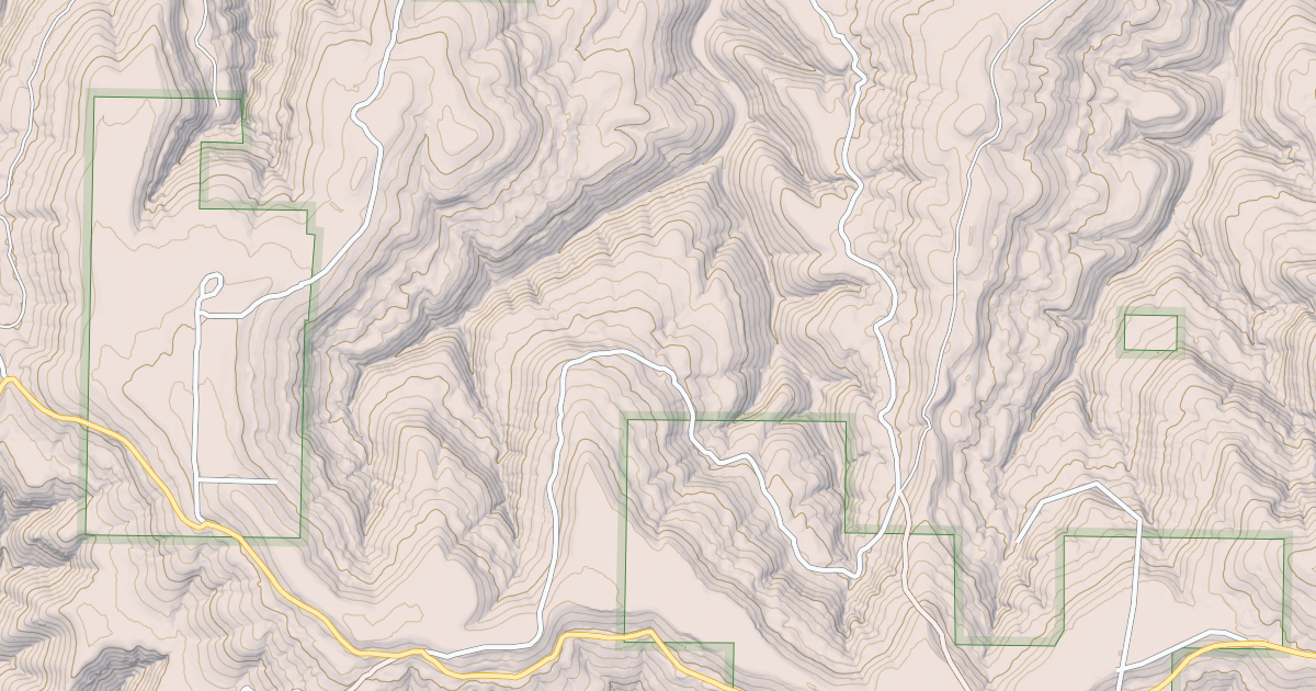 Map preview of USFS Motor Vehicle Use Map Roads {C2FB0D1C-E6DA-4539-8C09-FA2DBEA8F688}