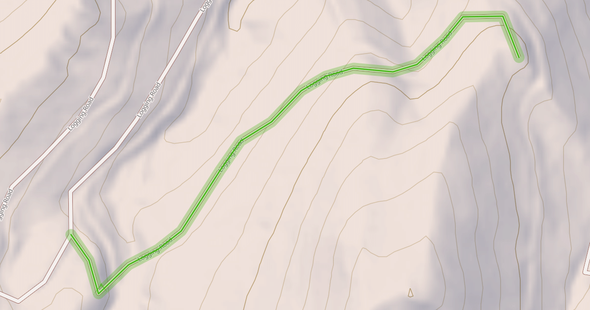 Map preview of Logging Road