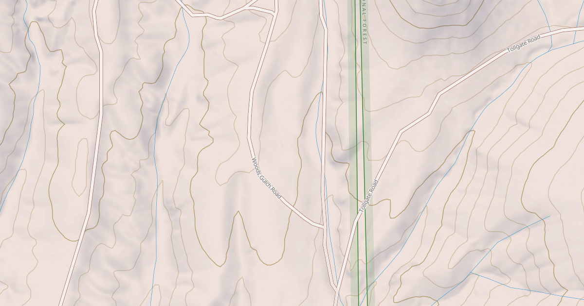 Map preview of BLM National GTLF Public Motorized Roads 4ab487e3-40fa-4ff7-9f12-6b8ef6f5e79e