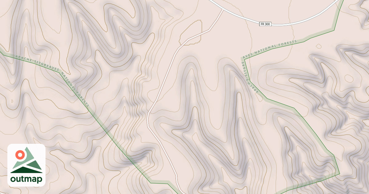 Map of USFS National Forest System Roads {472B4112-741C-4BC8-976E-D11AC6BB4121}