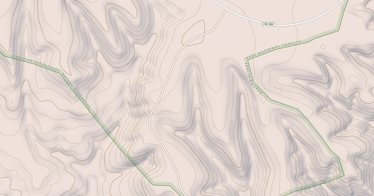 Map preview of USFS National Forest System Roads {472B4112-741C-4BC8-976E-D11AC6BB4121}
