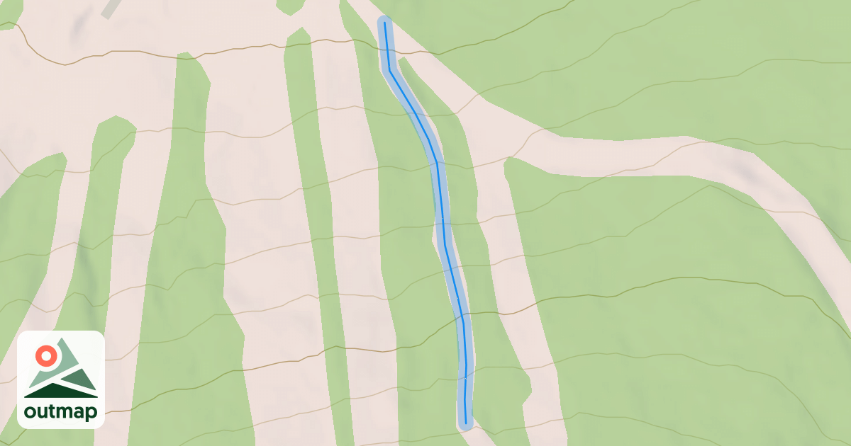 Map of Pines