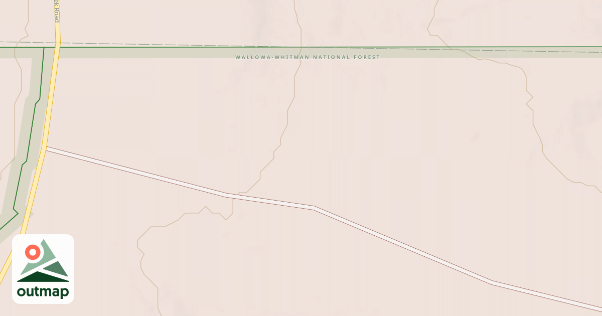 Map of USFS National Forest System Roads {12A43897-AD4A-4D23-9040-AE702F35140D}