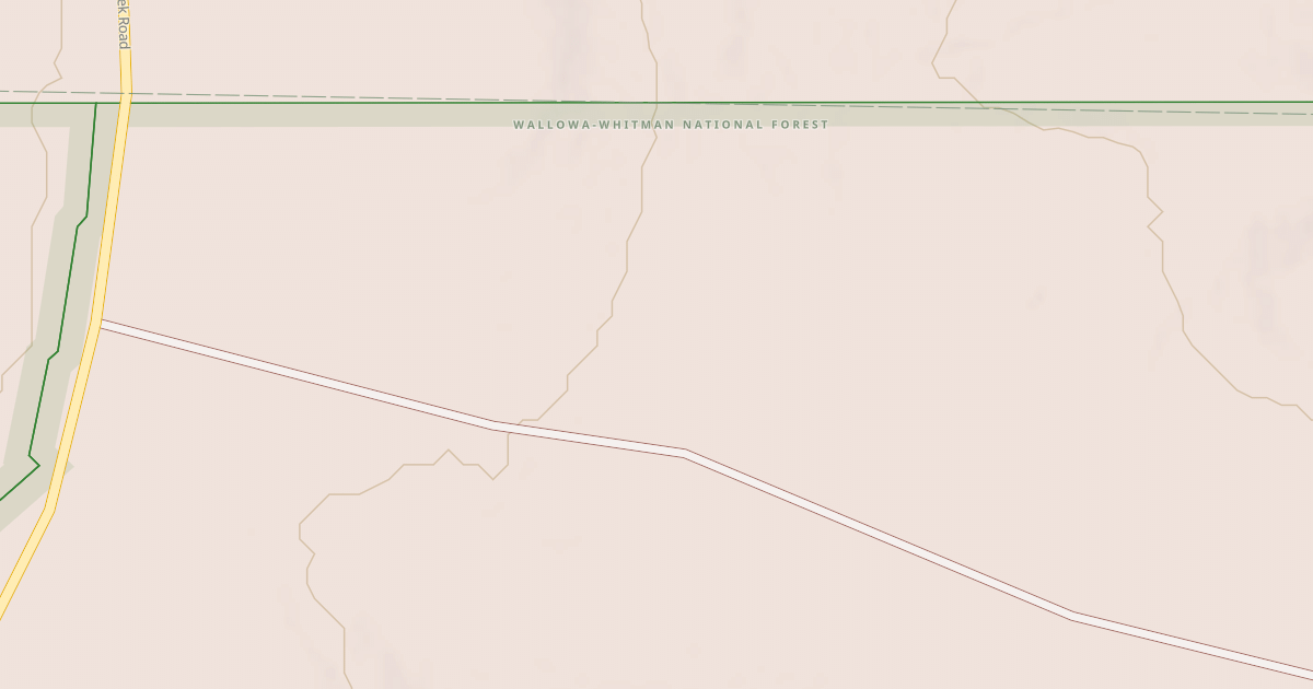 Map preview of USFS National Forest System Roads {12A43897-AD4A-4D23-9040-AE702F35140D}